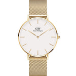 Petite Evergold 36 (White) - Daniel Wellington